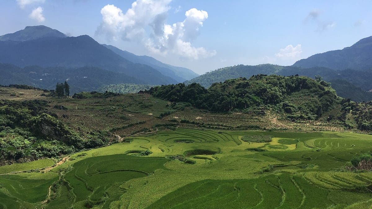 Rice terraces and mountain slopes in Ta Phin near Sa Pa