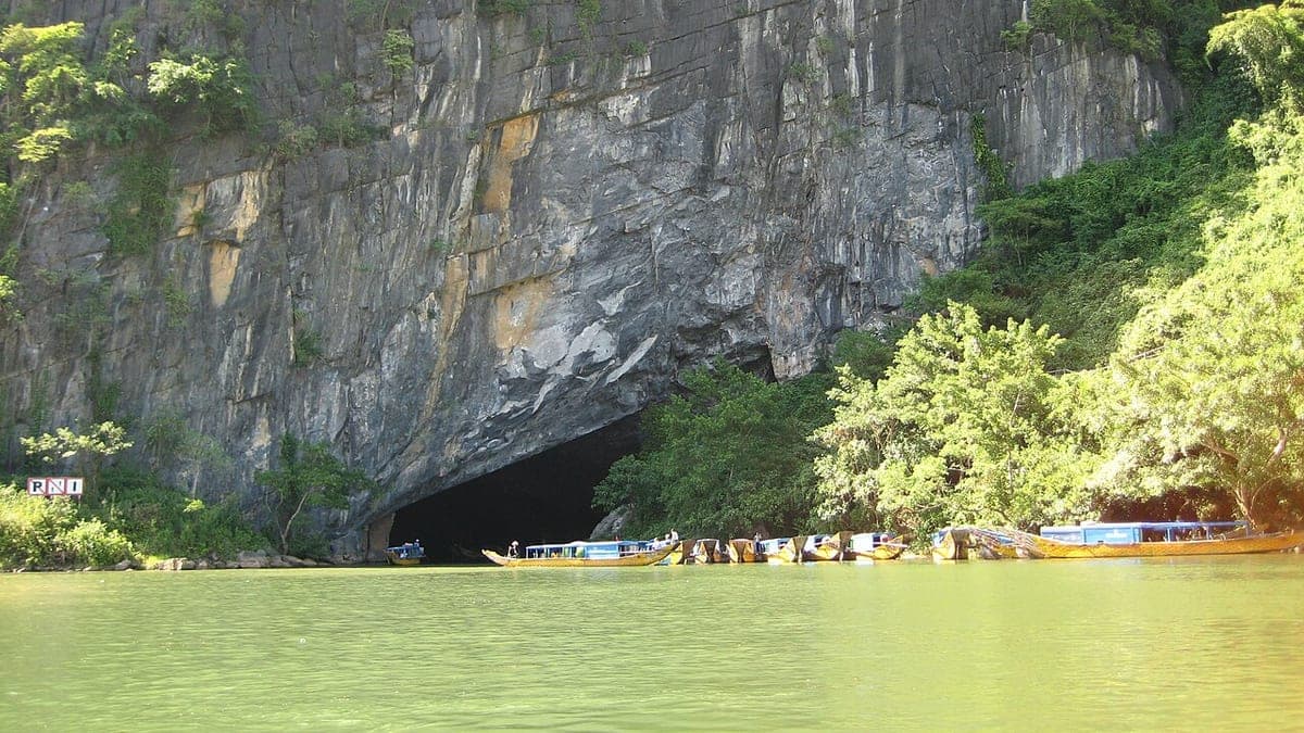 Vietnam National Parks 2026: Phong Nha to Con Dao - Vietnam eVisa News Article